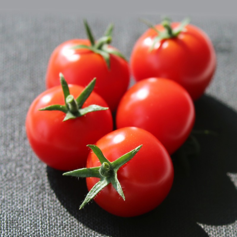 BETWAY·必威(西汉姆联)官方网站-West Ham United