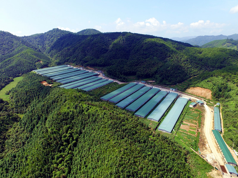 BETWAY·必威(西汉姆联)官方网站-West Ham United