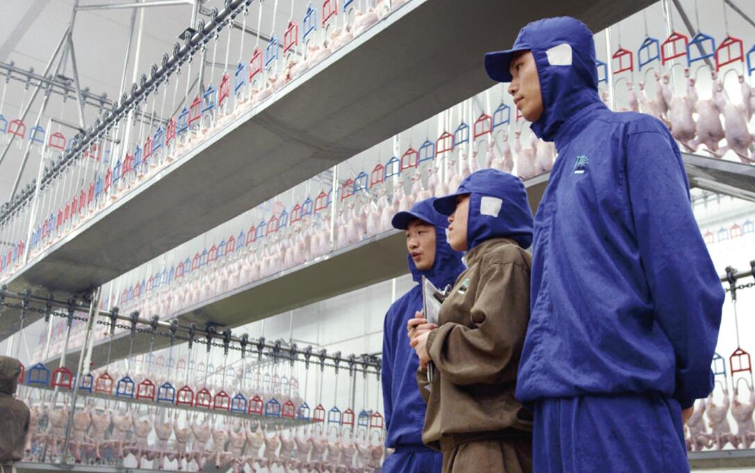 BETWAY·必威(西汉姆联)官方网站-West Ham United