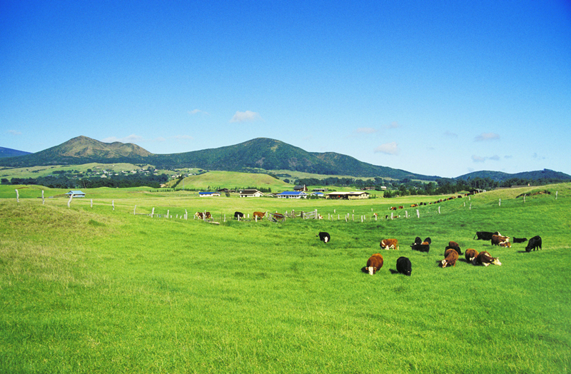 BETWAY·必威(西汉姆联)官方网站-West Ham United