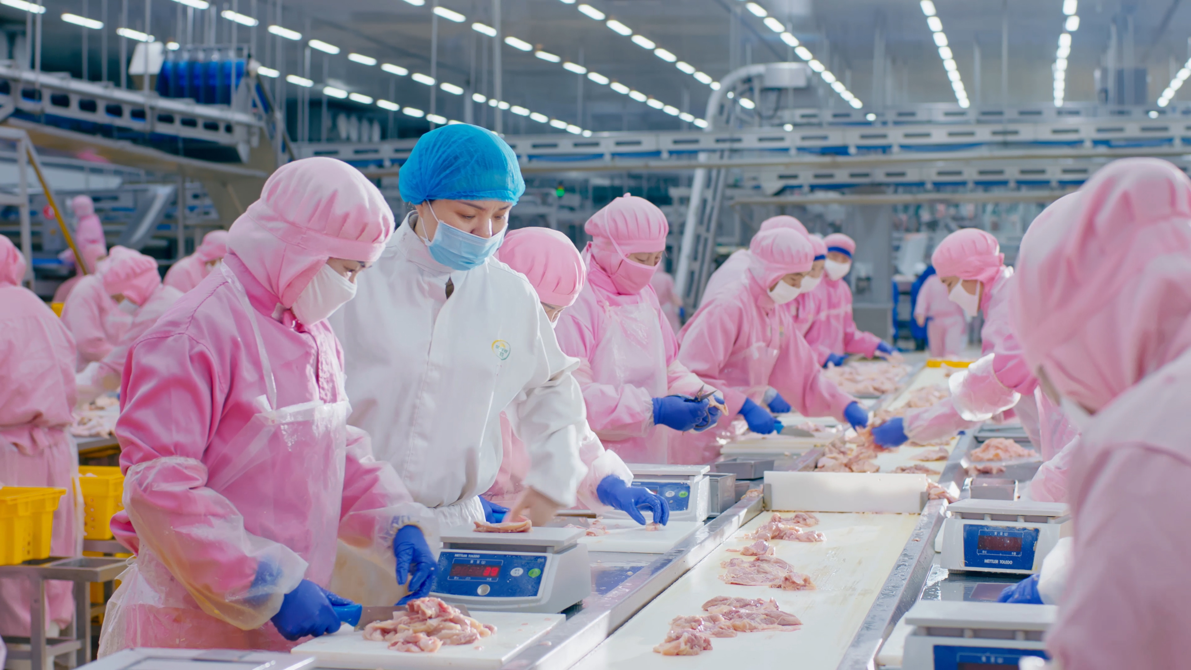 以人为本，，，携手员工配合生长