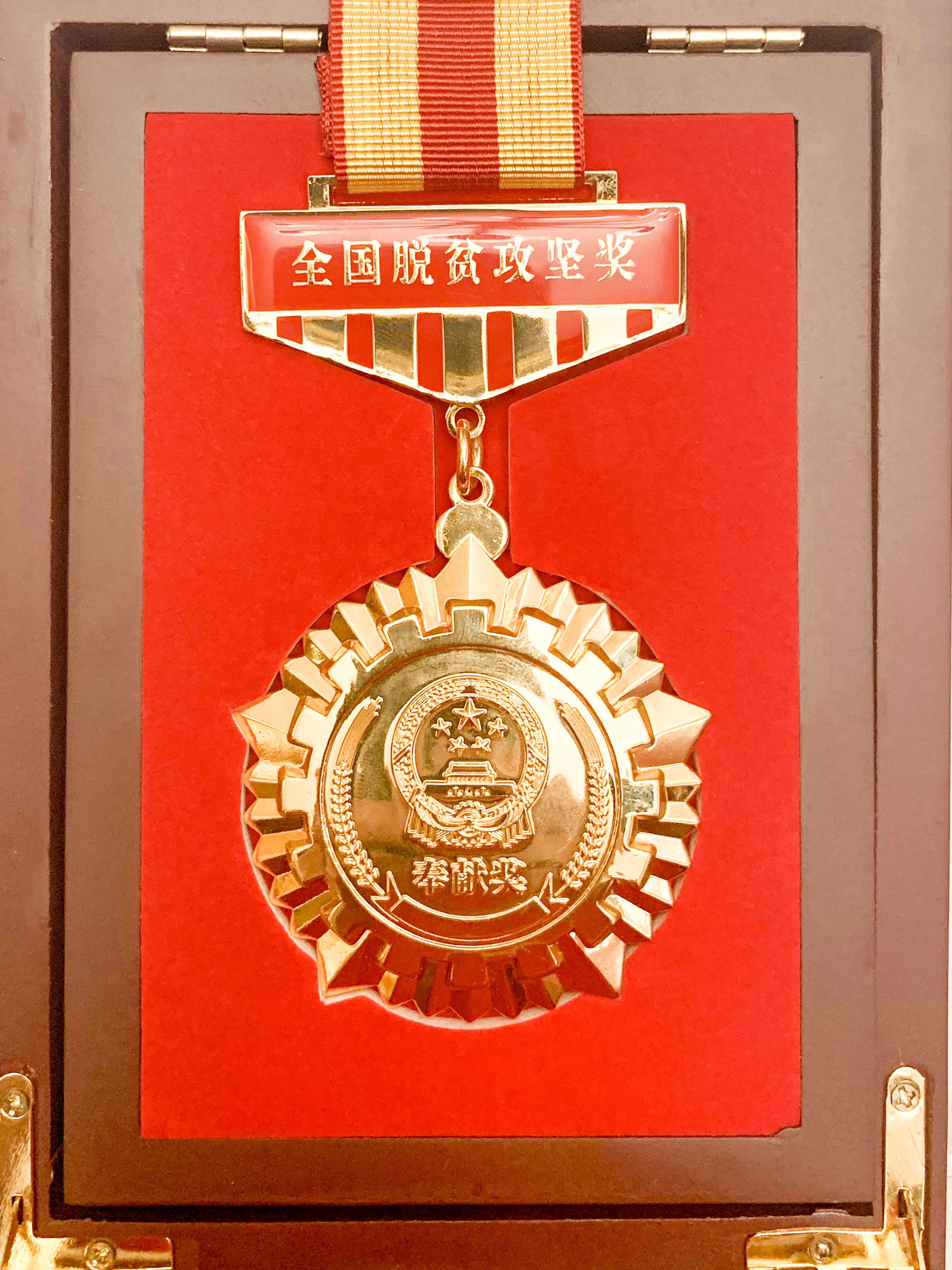 2020.10天下脱贫攻坚奖奉献奖